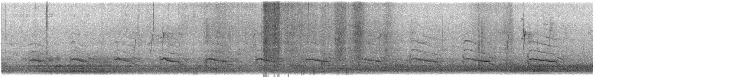 rødvingevåk (elegans) - ML644205318