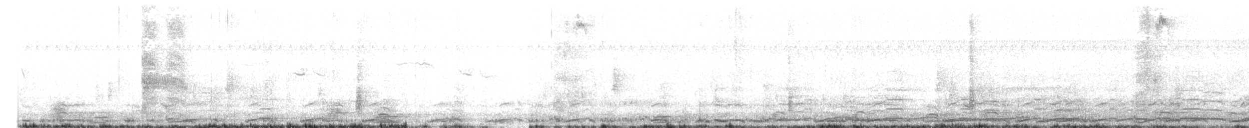 Tundra Swan - ML644205531