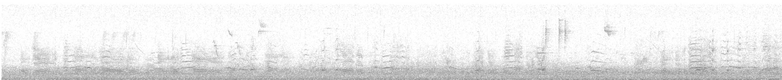 Ánsar Común - ML644205668