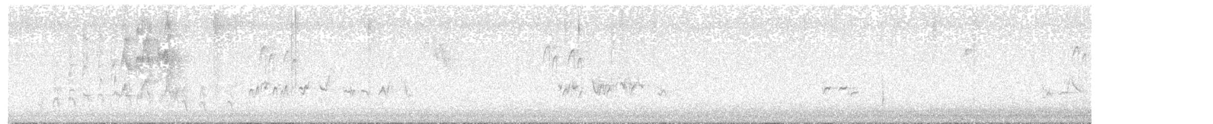 konglebit - ML644205685