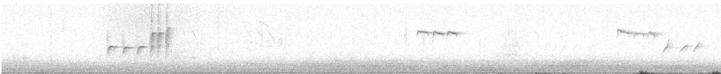 Blaumeise - ML644205700