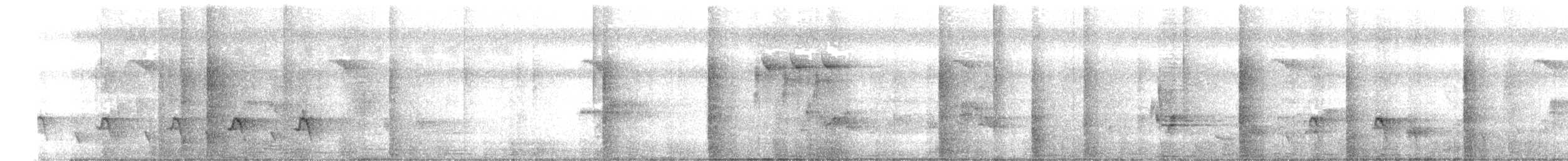 Bronzed Drongo - ML644206009