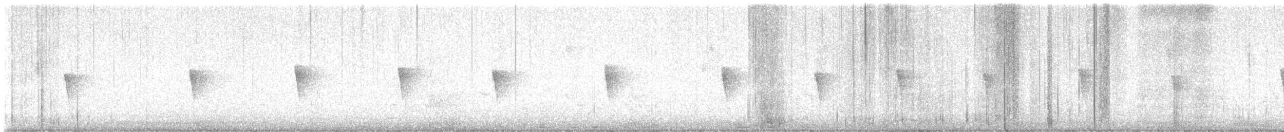 Swainson's Warbler - ML644206081