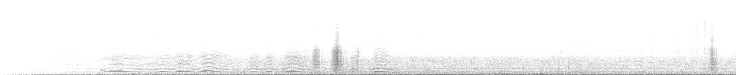 Pingüino Rey - ML644208108