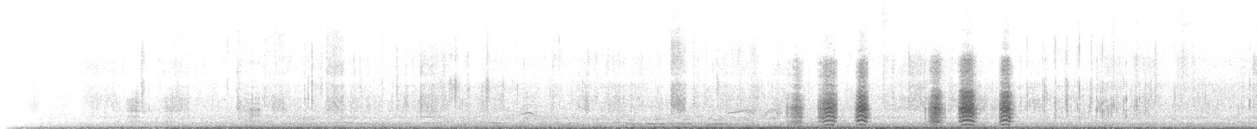 Pingüino Rey - ML644208658