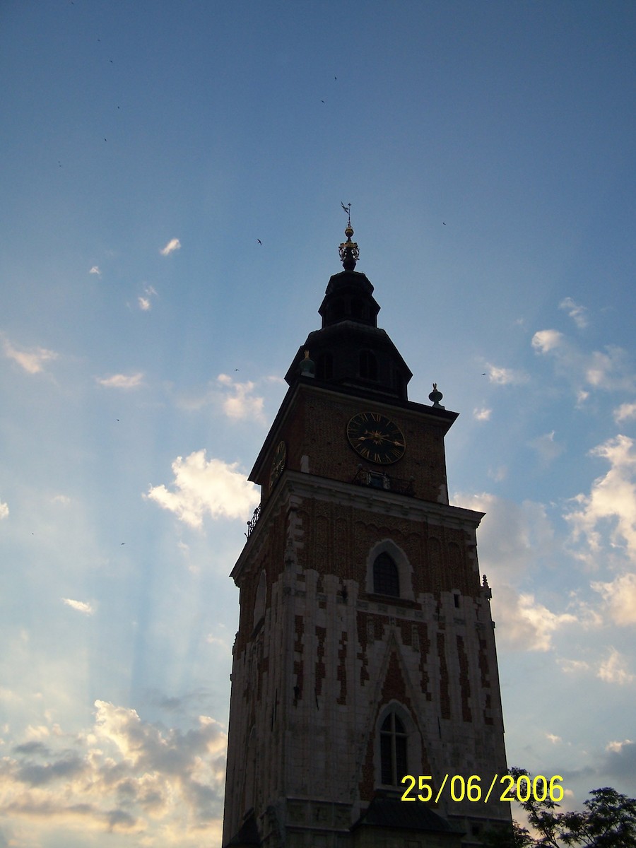 Common Swift - ML644208876