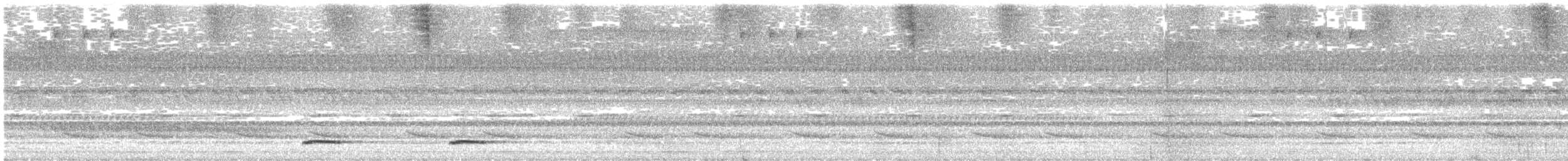 Petit-duc tacheté - ML644209499