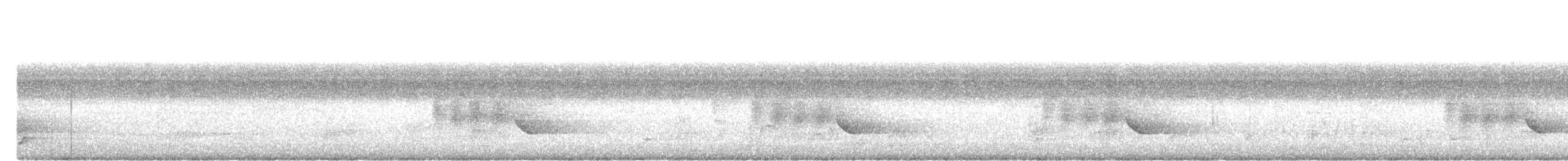 Common Iora - ML644209888