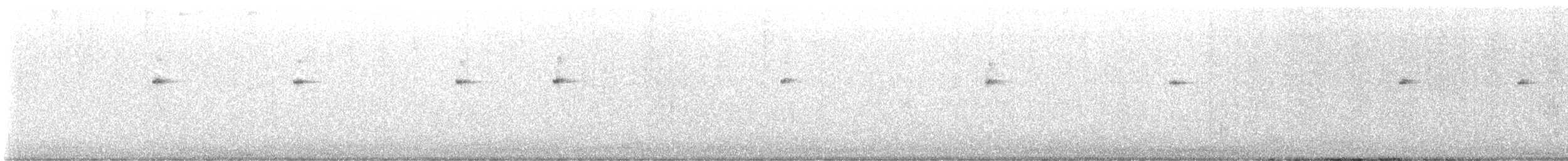 Вівчарик світлоногий - ML644209983