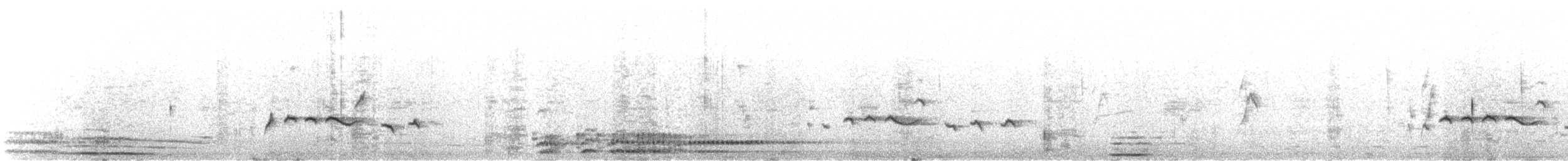 White-browed Scrub-Robin - ML644210561