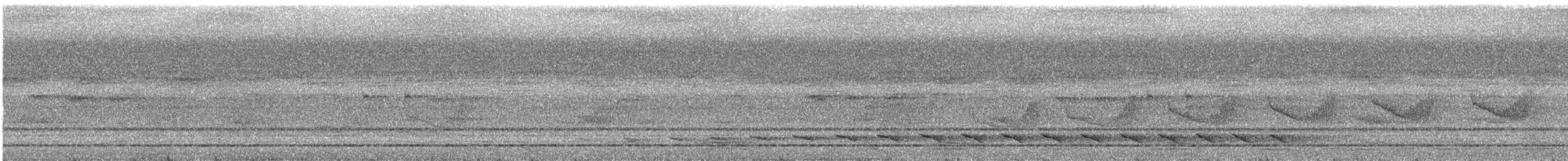 Long-winged Antwren - ML644210603