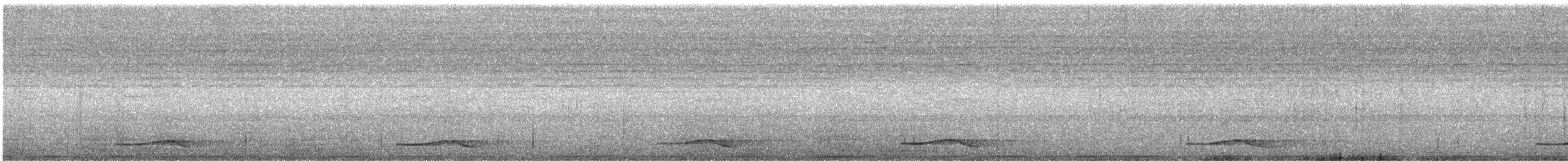 קואל אסייתי - ML644210696