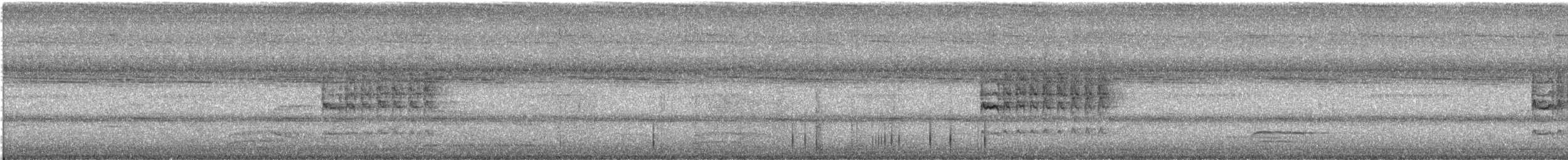 Ashy Tailorbird - ML644210716