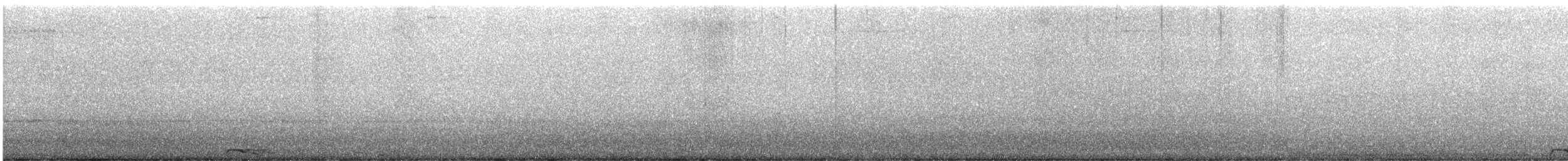 Collared Scops-Owl - ML644210864