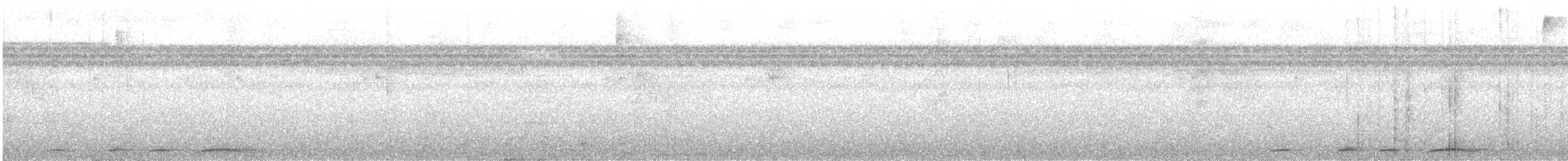 holub krátkozobý - ML644211464