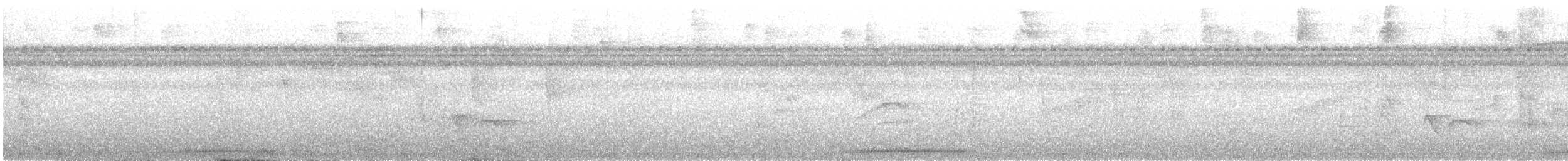 holub krátkozobý - ML644211466