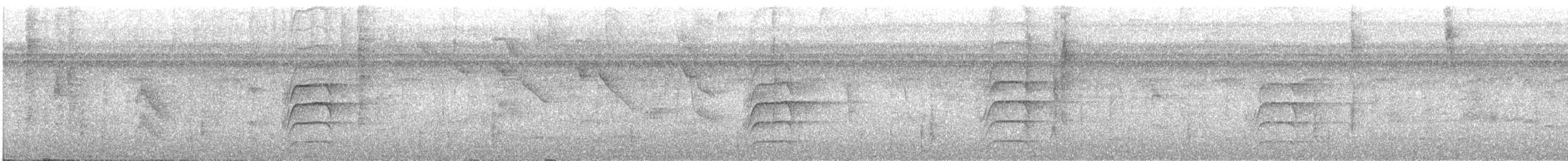 bladflatnebb - ML644211741