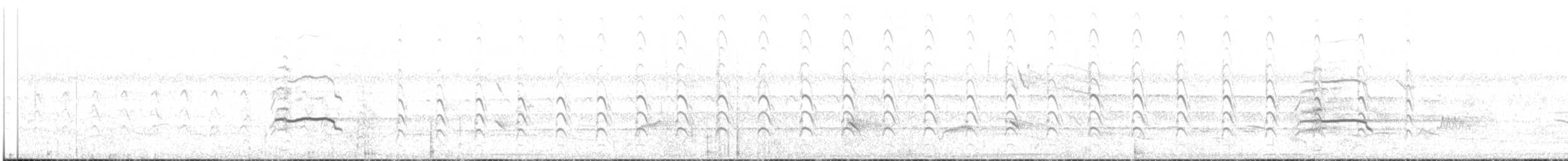 Black-collared Hawk - ML644211863