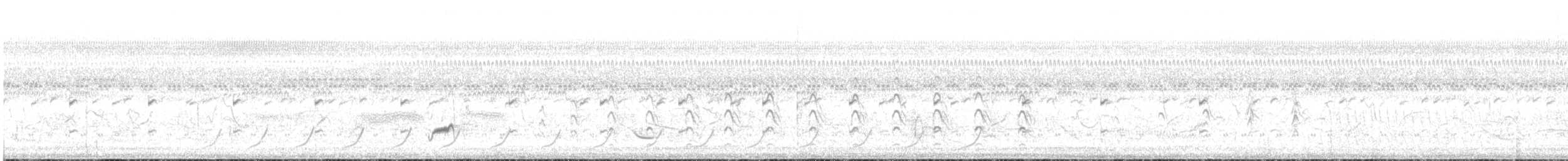 Kehlband-Schleppentyrann - ML644211891