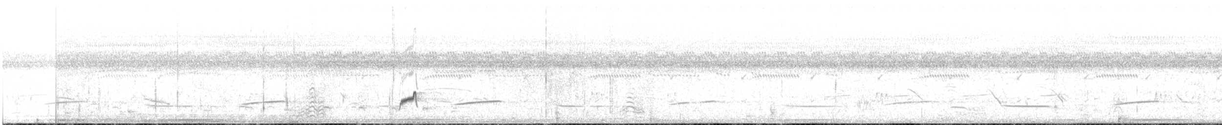 Kehlband-Schleppentyrann - ML644211892