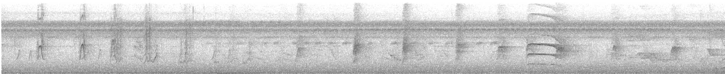 Meksika Çivit Kocabaşı - ML644211962