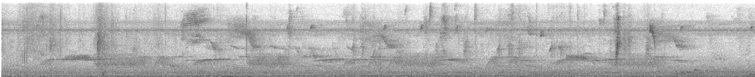 Meksika Çivit Kocabaşı - ML644211963