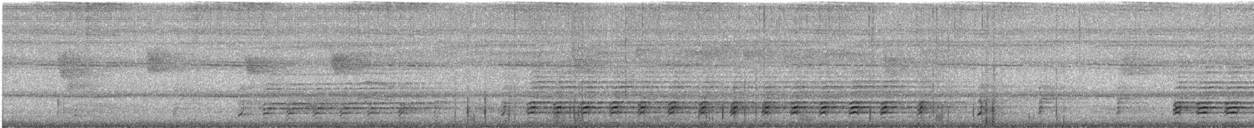 Weißbauch-Seeadler - ML644213124