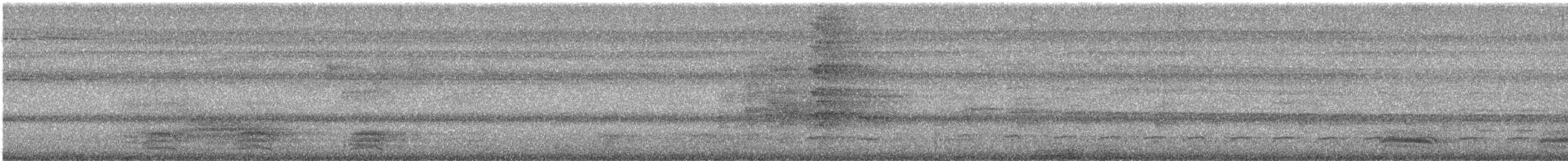 Glanzkrähe - ML644213143