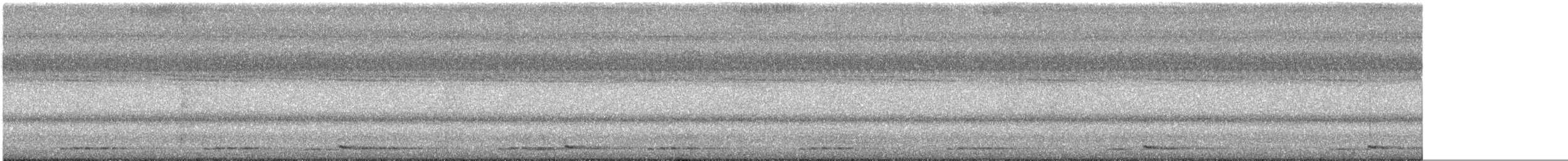 シロボシオオゴシキドリ - ML644213171