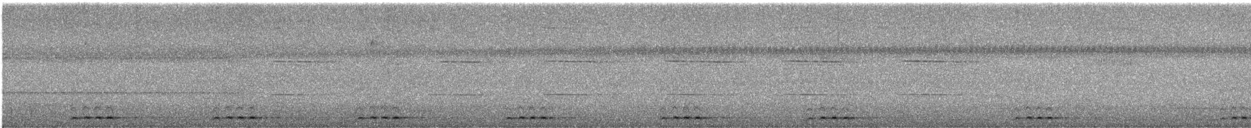 シロボシオオゴシキドリ - ML644213316