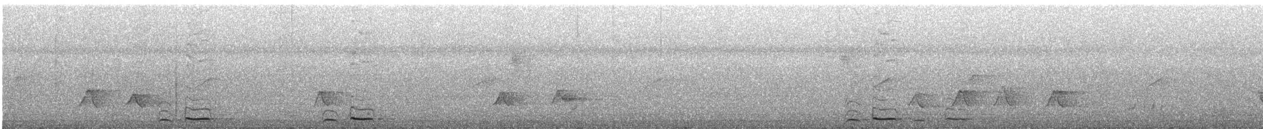 シロボシオオゴシキドリ - ML644213326