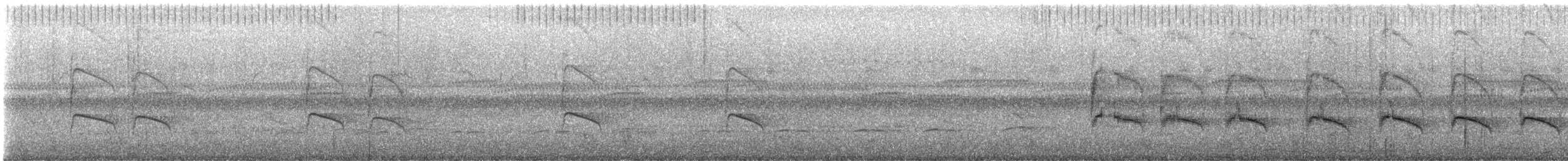 White-eared Jacamar - ML644213550