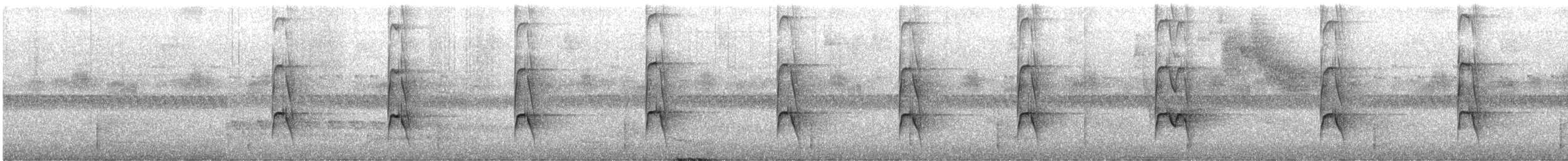 White-eared Jacamar - ML644213819