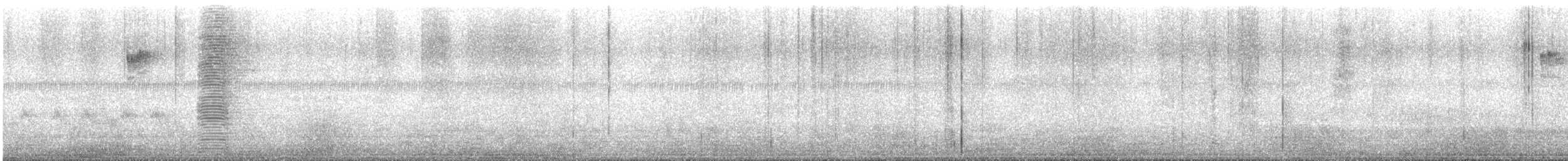 Indian Peafowl - ML644213909