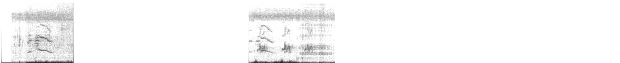 Fulvous Whistling-Duck - ML644214140