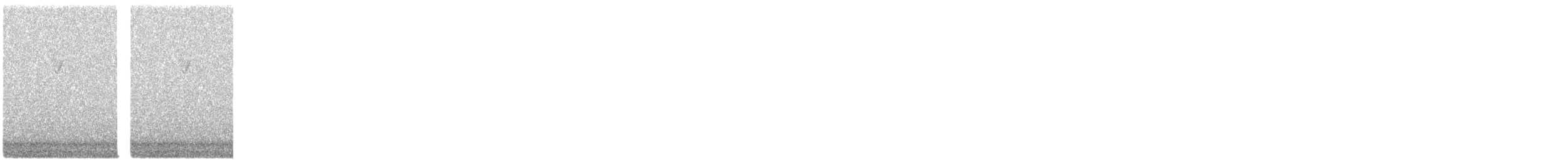 Parulidae sp. - ML644215177