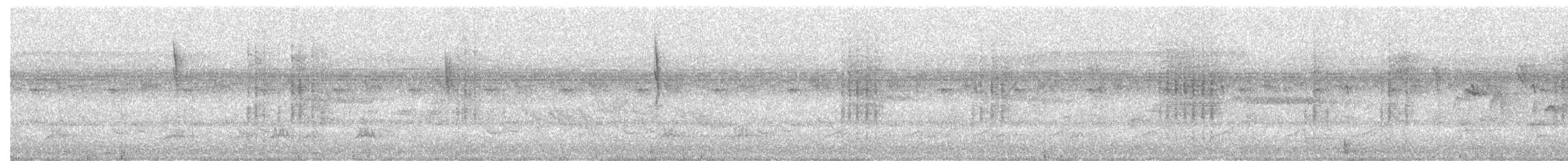 Souimanga à ventre olive - ML644215193