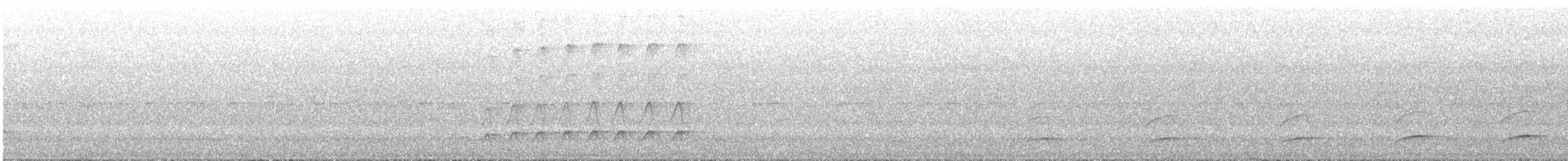 Dull-capped Attila - ML644215651