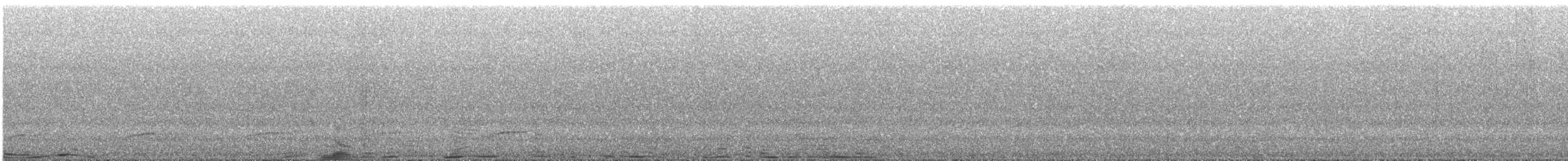 Cinnamon Attila - ML644215716