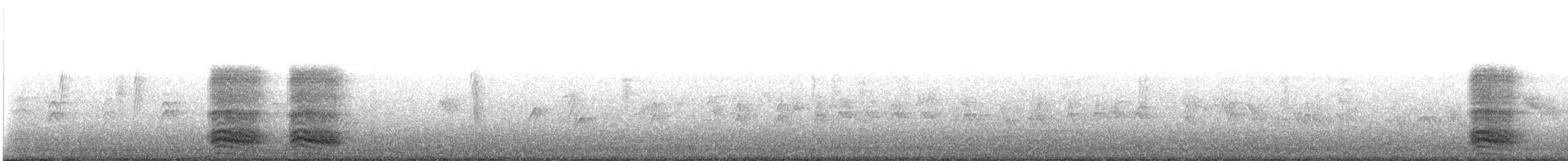 Corneille d'Amérique - ML644216004