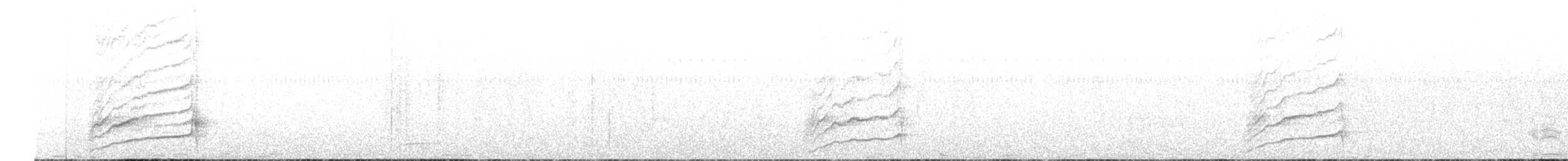 glattnebbani - ML644216012