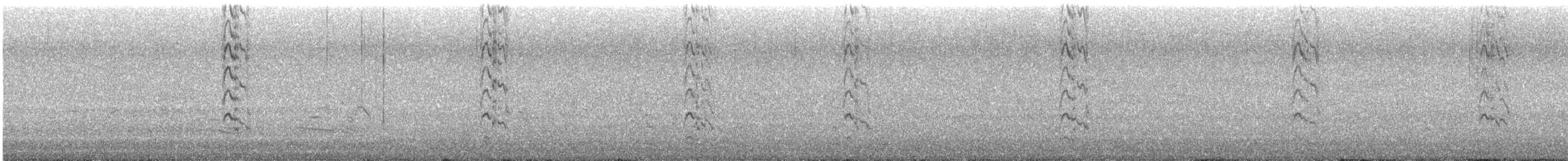 Sandwich Tern - ML644216035