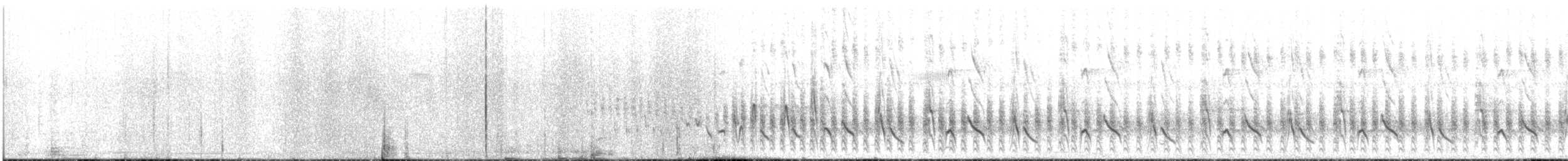 White-rumped Tanager - ML644216303