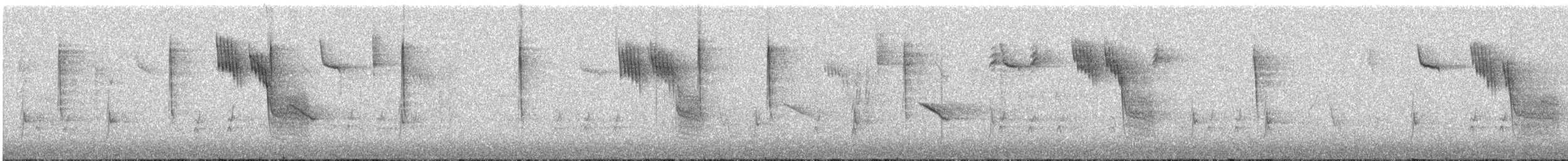 Empidonax sp. - ML644217484