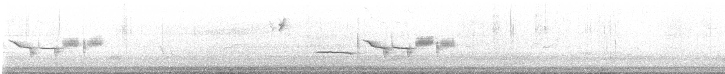 White-crowned Sparrow - ML644217616