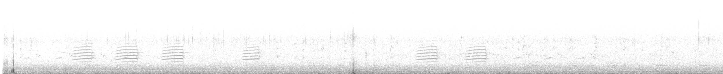 brhlík americký - ML644217777