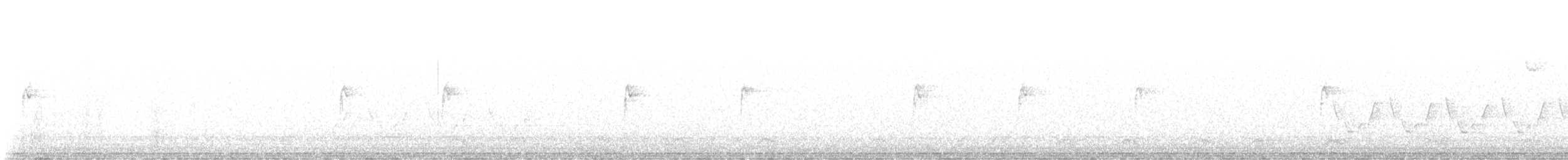 strnadec bělohrdlý - ML644218413