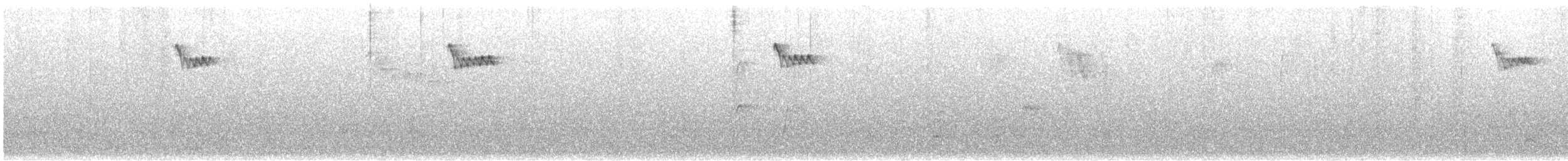 Brown Creeper - ML644218929