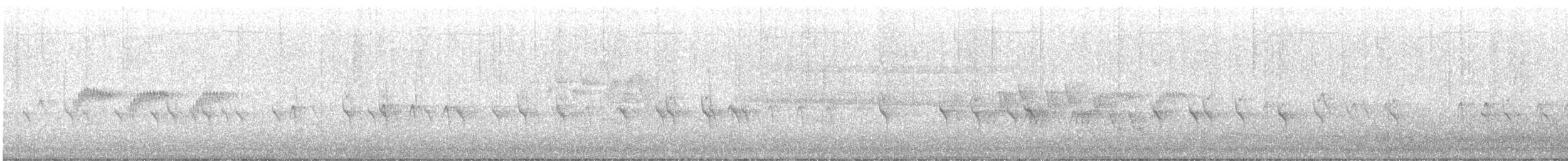 Crociere comune - ML644218995