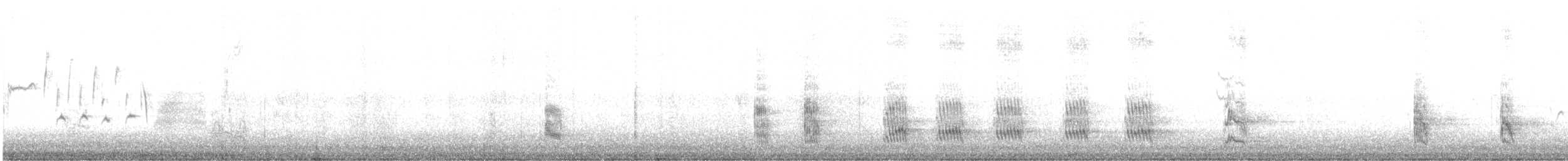 Northern Mockingbird - ML644219570